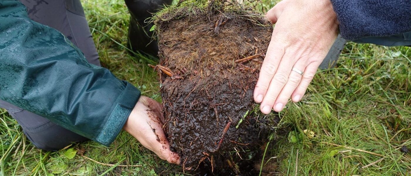 Tuinliefhebbers opgelet: koop turfvrije potgrond